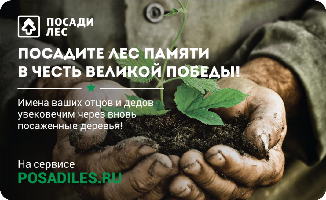 Россияне могут посадить лес в память о великой Победе и за мир на Земле - фото 2