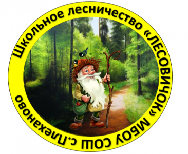 О деятельности школьного лесничества Липецкой области "Лесовичок" - фото 1