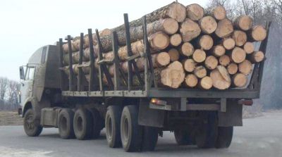 В Тверской области задержан лесовоз  с незаконно заготовленной древесиной - фото 1