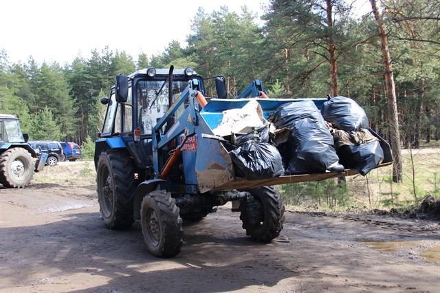Ликвидация свалок в ярославских лесах - фото 4