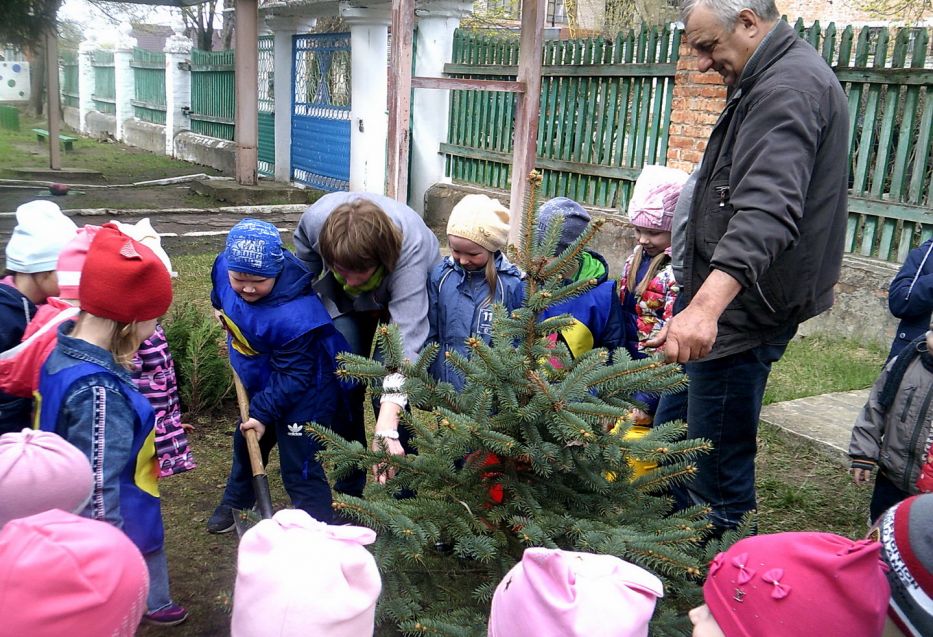 Акция «Посади дерево» в Брянской области - фото 1