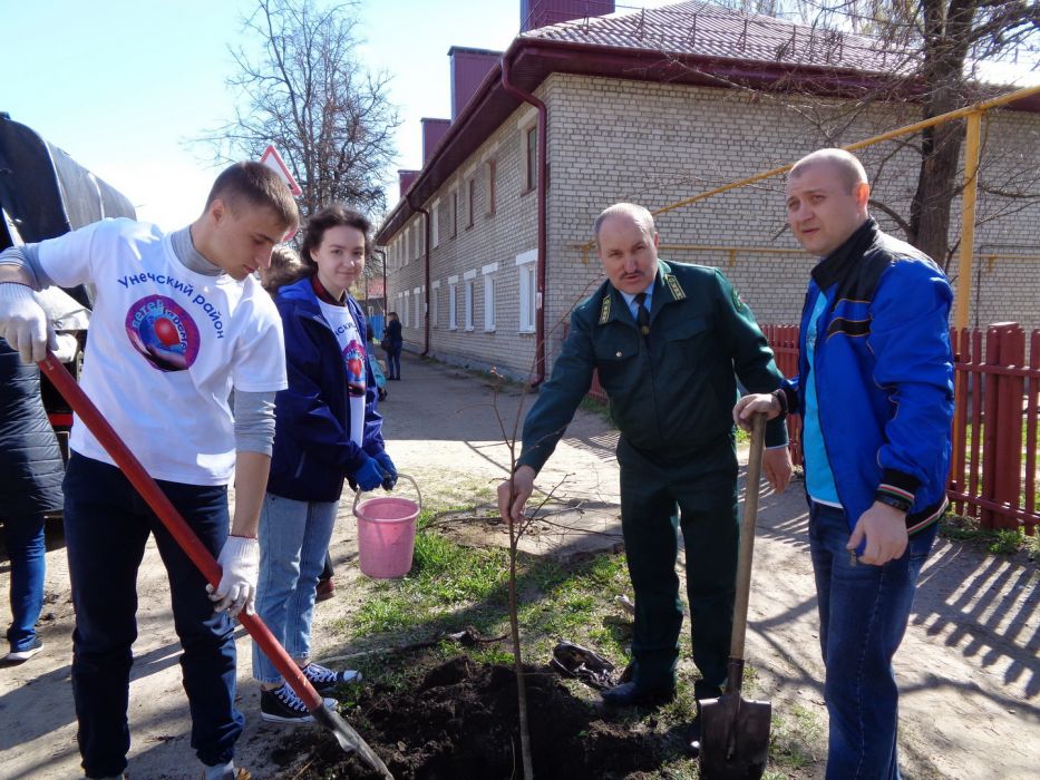 Акция «Посади дерево» в Брянской области - фото 2