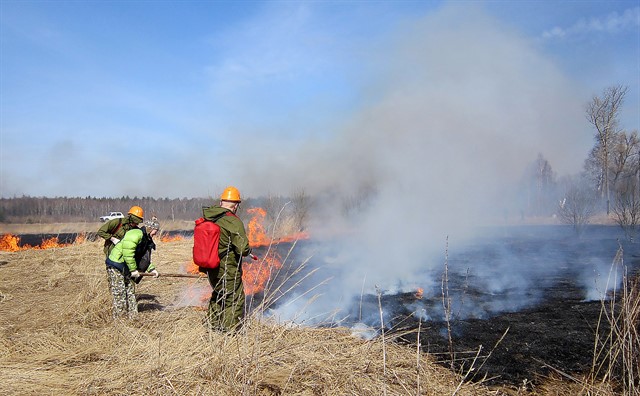 В лесах Московской области открыт пожароопасный сезон - фото 1