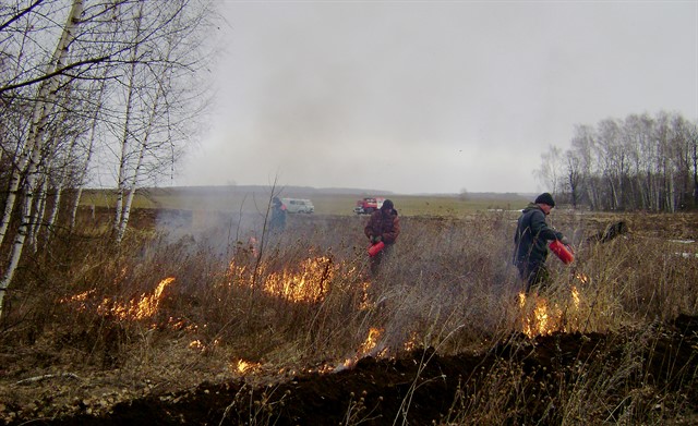 В лесах Московской области открыт пожароопасный сезон - фото 2
