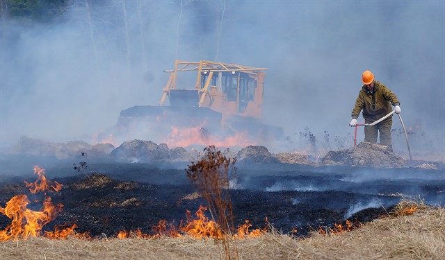 В лесах Московской области открыт пожароопасный сезон - фото 3