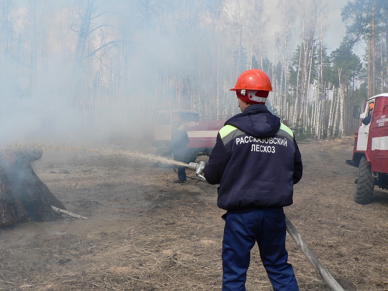Лесопожарная  служба   Тамбовщины  продемонстрировала  свое профессиональное  мастерство - фото 1