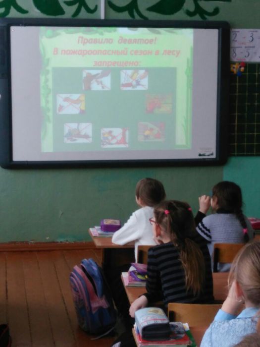 В Ярославской области детей учат правильно вести себя в лесу - фото 4