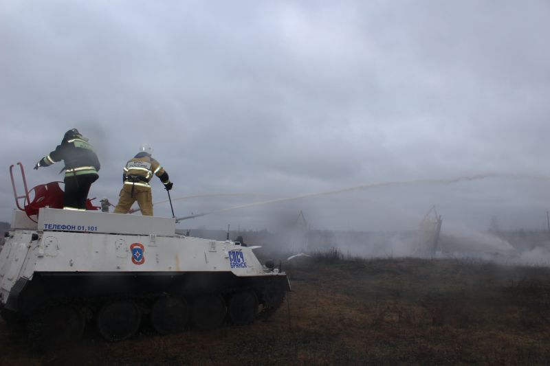 Управление лесами Брянской области приняло участие во Всероссийском учении по тушению лесных пожаров - фото 4