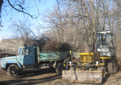 В пригородных лесах Воронежа начались работы  по уборке ветровальных деревьев и валежа - фото 1
