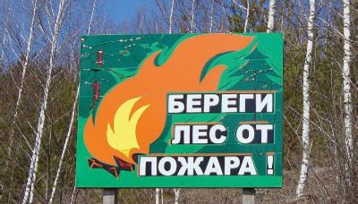 Пожароопасный сезон стартует в лесах Орловщины - фото 1
