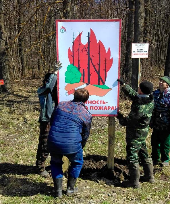 Сотрудники региональных лесничеств убирают территорию государственного лесного фонда Рязанщины - фото 2
