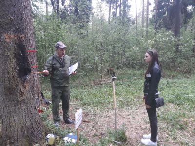 Итоги XII региональной олимпиады школьников  Костромской области по лесоводству - фото 1