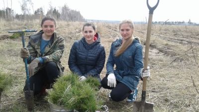 В Воронежской области подведены итоги экологической акции «Всероссийский день посадки леса» - фото 1
