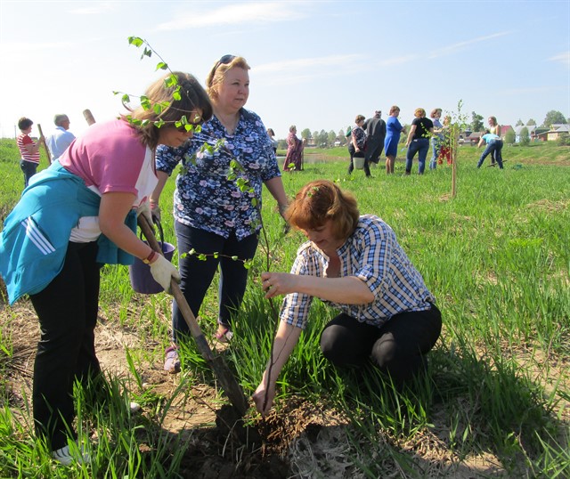 Озеленение детских учреждений Костромской области - фото 1