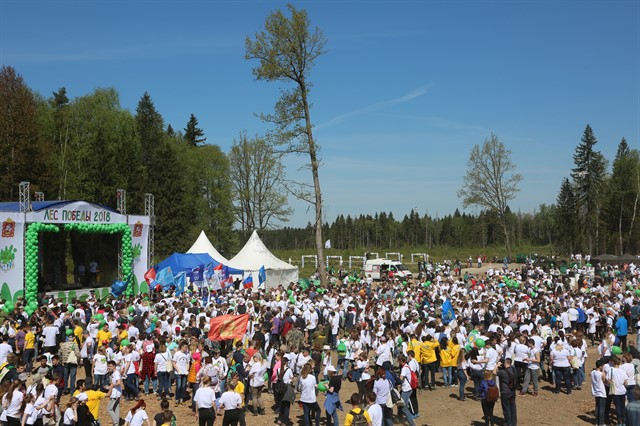 В Подмосковье в рамках акции «Лес Победы» высажено более 1,5 млн. деревьев на площади свыше 800 гектар - фото 3