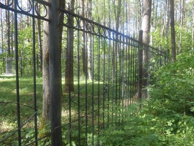В Ярославской области суд обязал арендатора демонтировать ограждение в лесу - фото 1