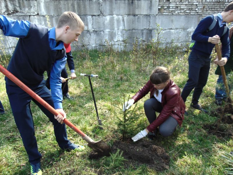 Акция «Посади дерево» в Дятьковском районе Брянской области - фото 3