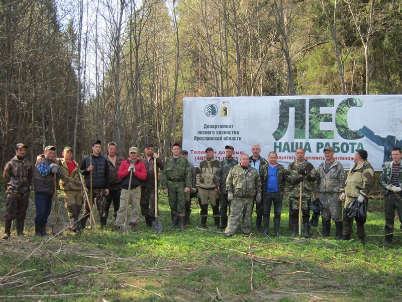 В Ярославской области ликвидировано 18 крупных свалок в рамках акции «Очистим лес от мусора» - фото 1