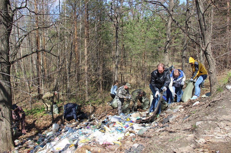 В Ярославской области ликвидировано 18 крупных свалок в рамках акции «Очистим лес от мусора» - фото 3