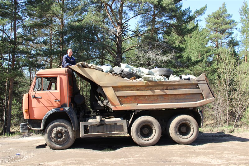 В Ярославской области ликвидировано 18 крупных свалок в рамках акции «Очистим лес от мусора» - фото 4