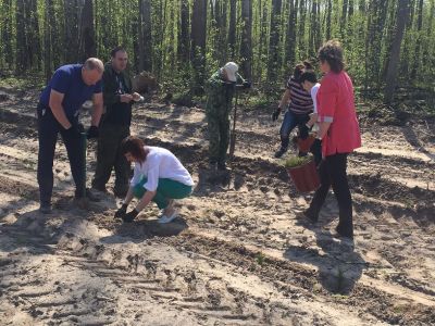 В  ходе   Всероссийского  дня посадки леса  в Тамбовской области высажено  более  500 тысяч  деревьев - фото 1