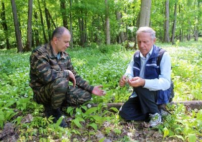 Белгородские лесники изучили состояние подведомственных лесов - фото 1