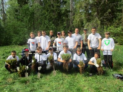 На территории Ивановской области продолжается проведение мероприятий  ежегодной экологической акции «Всероссийский день посадки леса» - фото 1