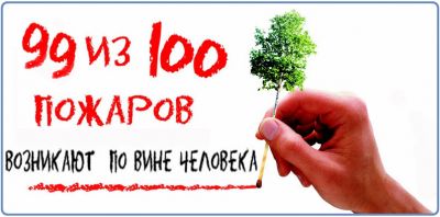 Министерство лесного хозяйства Тверской области призывает граждан соблюдать правила пожарной безопасности в лесу - фото 1