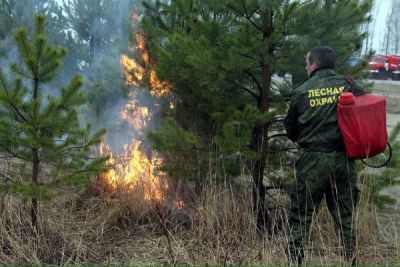 Лесной пожар на Тамбовщине успешно ликвидирован - фото 1