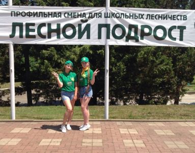 Члены школьных лесничеств Белгородской области – участники смены «Лесной подрост-2018» - фото 1