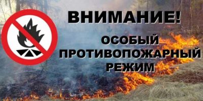 С начала пожароопасного сезона в Белгородской области лесных пожаров в лесном фонде не допущено - фото 1