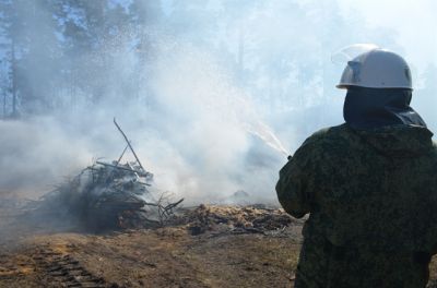 В Липецкой области установилась высокая пожарная опасность в лесах - фото 1