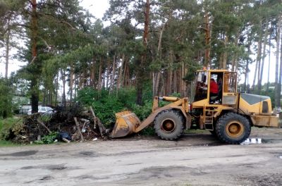 В лесных насаждениях Воронежской области становится чище - фото 1