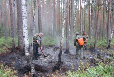 Информация о лесопожарной обстановке на территории ЦФО. С начала пожароопасного сезона в округе возникло 173 пожара - фото 1
