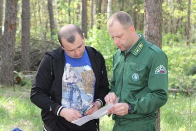 В лесничествах Воронежской области продолжаются мероприятия, направленные на предотвращение лесных пожаров - фото 1
