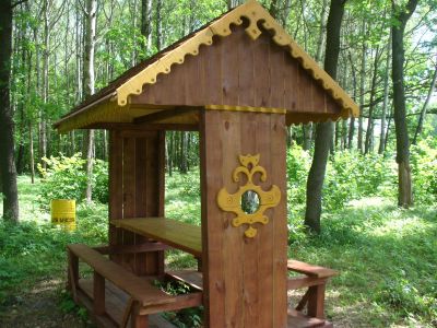 В  Тамбовской  области места отдыха  для посетителей  леса будут выложены  в сети  интернет - фото 1