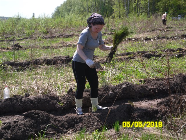 Волонтеры дарят лес жителям Орловщины - фото 1