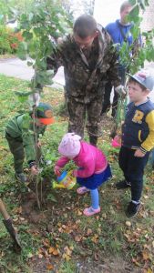 В Ивановской области дан старт ежегодной  экологической акции «Живи, лес!» - фото 1