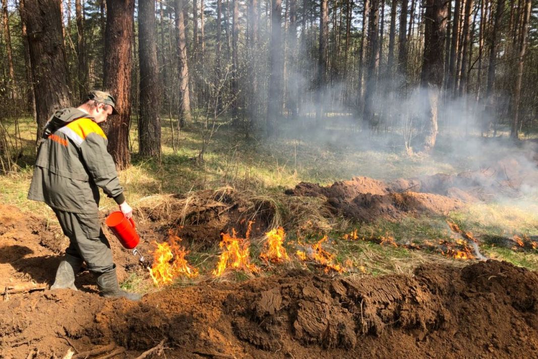 Противопожарные мероприятия в ярославских лесах - фото 3