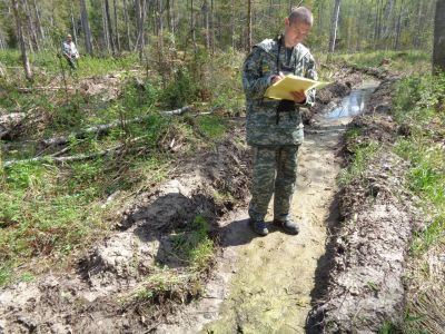 Проверка лесосек на территории лесного фонда Ярославской области - фото 1