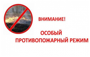 На территории Ивановской области введен особый противопожарный режим - фото 1