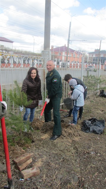 В Ивановской области стартовал Всероссийский день посадки леса - фото 2