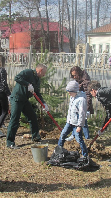 В Ивановской области стартовал Всероссийский день посадки леса - фото 3
