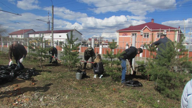 В Ивановской области стартовал Всероссийский день посадки леса - фото 4