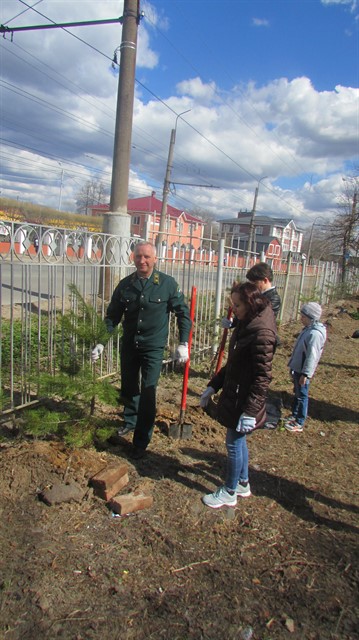 В Ивановской области стартовал Всероссийский день посадки леса - фото 10