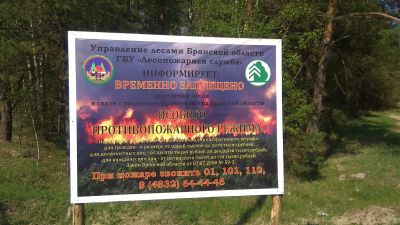 В Брянской области усилена противопожарная агитация населения - фото 1