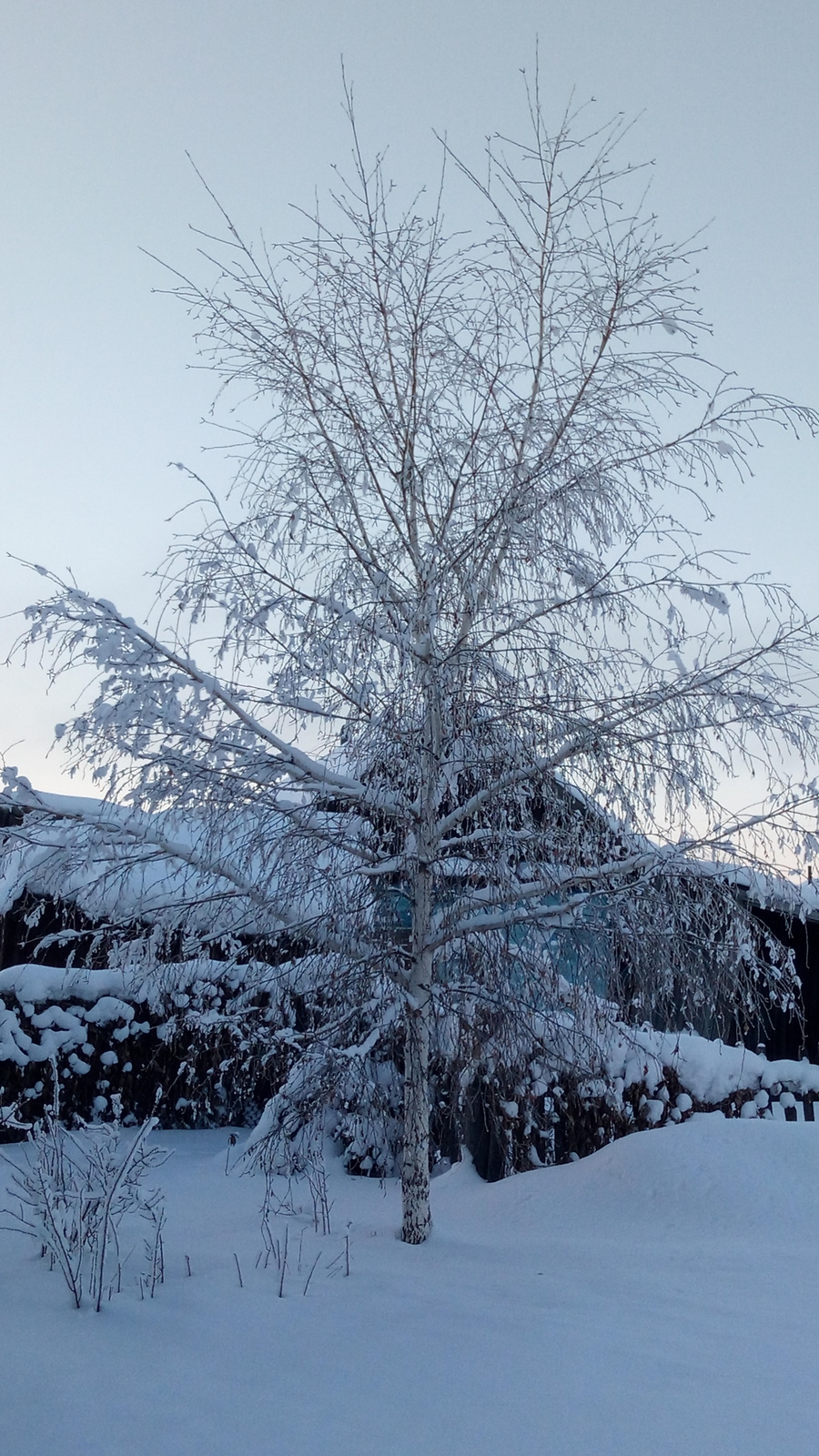 Алтай. Зима - фото 9