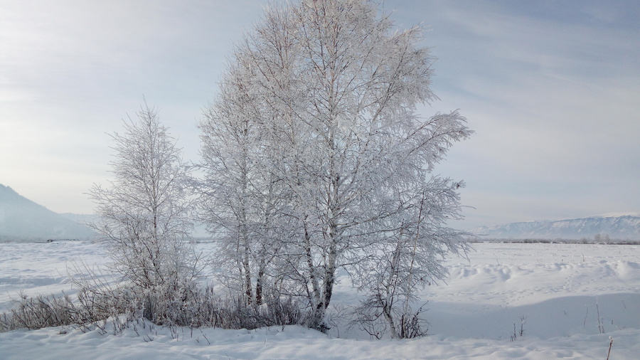 Алтай. Зима - фото 23
