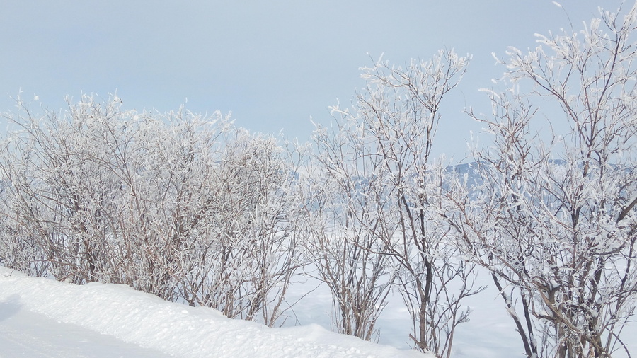 Алтай. Зима - фото 17