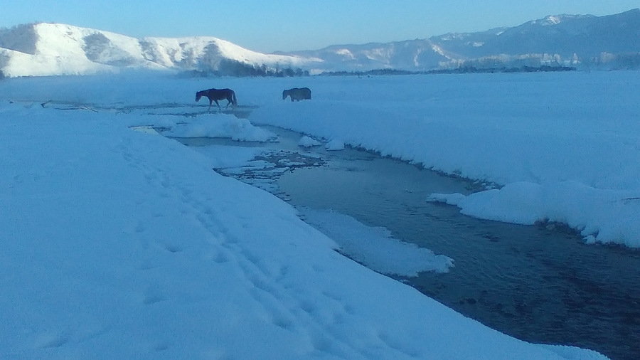 Алтай. Зима - фото 15